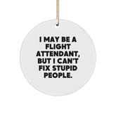 Christmas Unique Gifts from Friends and Family for Flight Attendants, I May Be A Flight Attendant, But I Can't Fix Stupid People. - Funny Flight Attendant Circle Ornament - Image 1